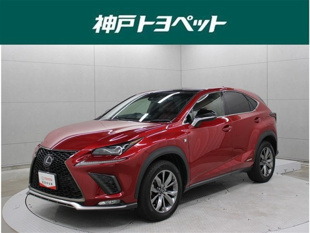 NX 300h Fスポーツ 