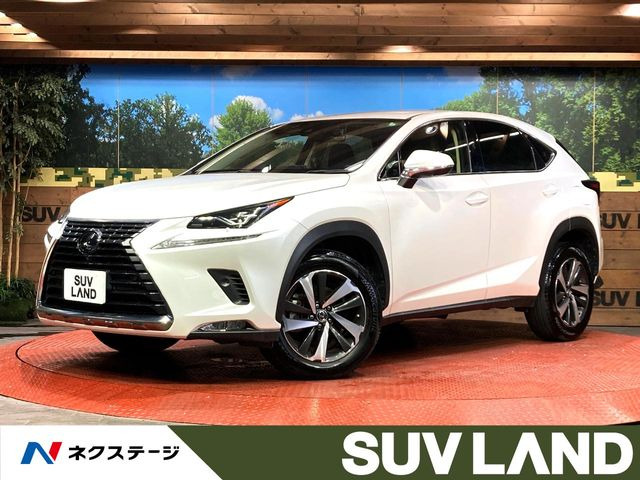 NX 200t Iパッケージ 