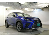 NX 300 Fスポーツ 