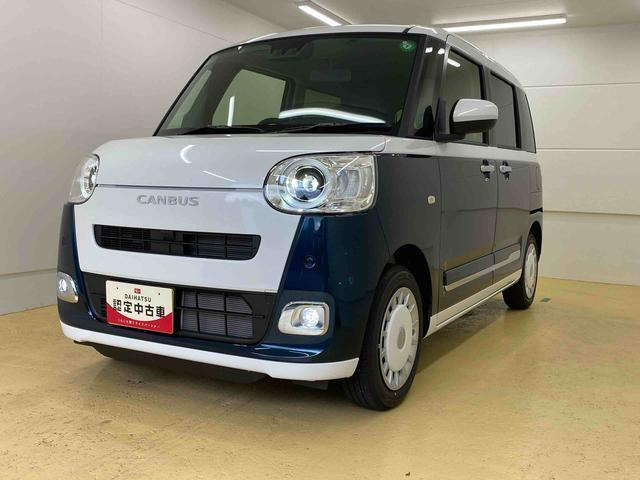 ムーヴキャンバス  ストライプス G