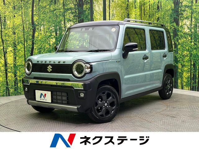ハスラー タフワイルド 