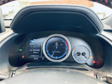 RX 300 Fスポーツ 本革シート サンルーフ