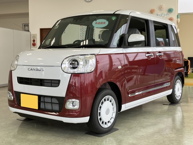 ムーヴキャンバス  ストライプス G