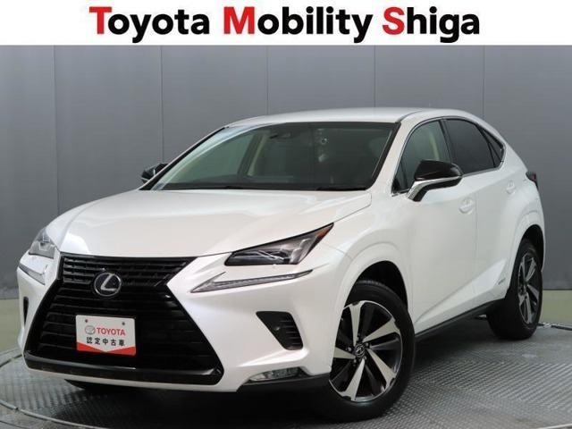 NX 300h ブラック シークエンス