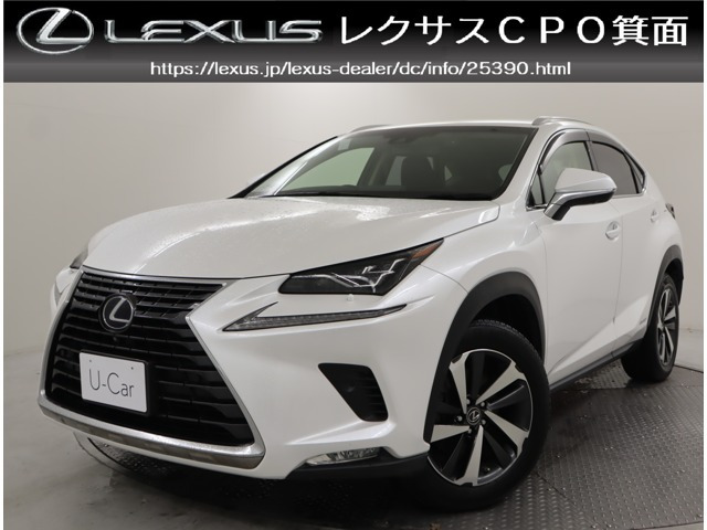 NX 300h バージョンL 