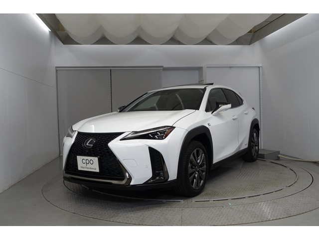 UX 250h Fスポーツ 