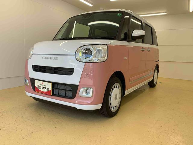 ムーヴキャンバス  ストライプス G