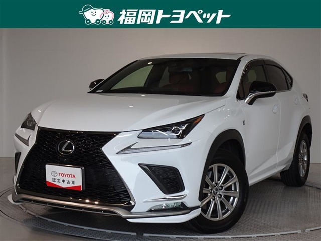 NX 300 Fスポーツ 