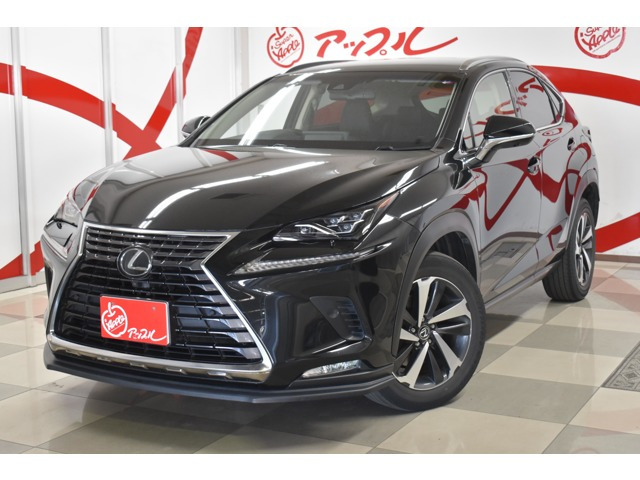 NX 300 バージョンL 4WD 
