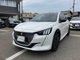e-208 GT 
