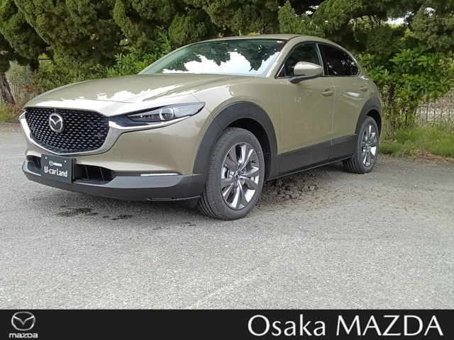 CX-30 1.8 XD プロアクティブ ツーリングセレクション 