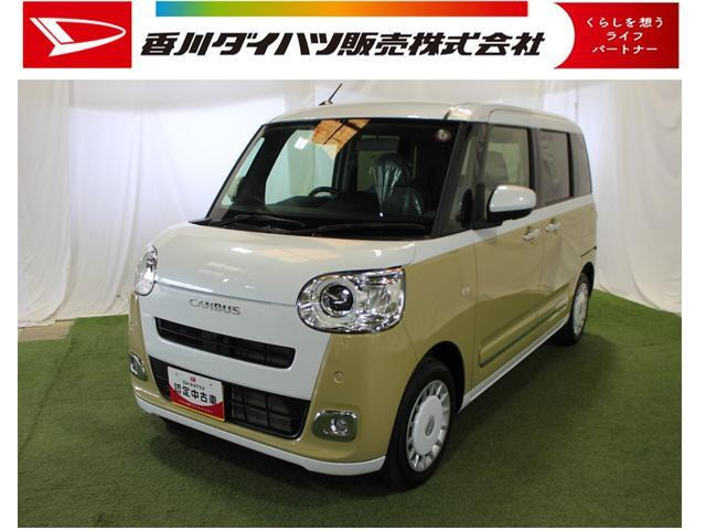 ムーヴキャンバス  ストライプス G