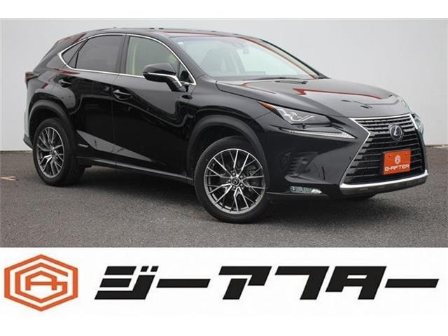 NX 300h Iパッケージ 純正ナビTV360°カメラ3眼LED電動Rゲート