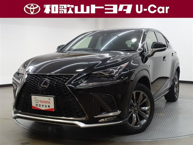 NX 300h Fスポーツ 