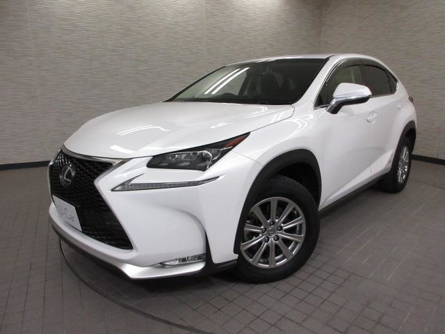NX 300h Iパッケージ 