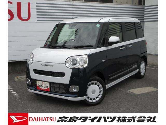 ムーヴキャンバス  ストライプス G
