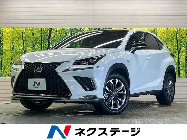 NX 300 Fスポーツ 
