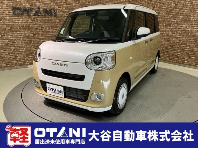 ムーヴキャンバス  ストライプス G