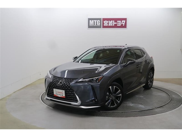 UX 300h バージョンC 