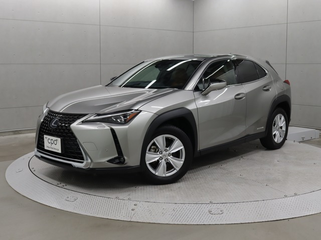 UX 250h バージョンC 