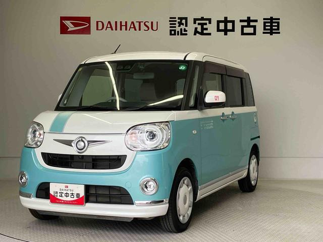 ムーヴキャンバス G メイクアップ リミテッド SAIII 