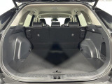 RAV4 2.0 アドベンチャー 4WD 4WD 修復歴無し
