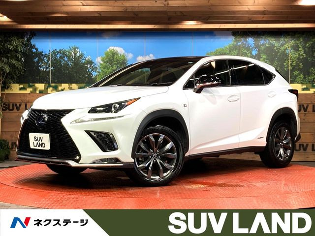 NX 300h Fスポーツ 