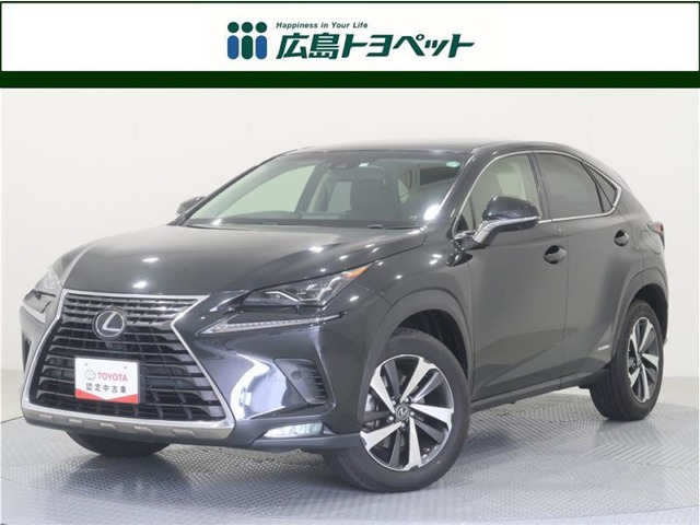 NX 300h Iパッケージ 