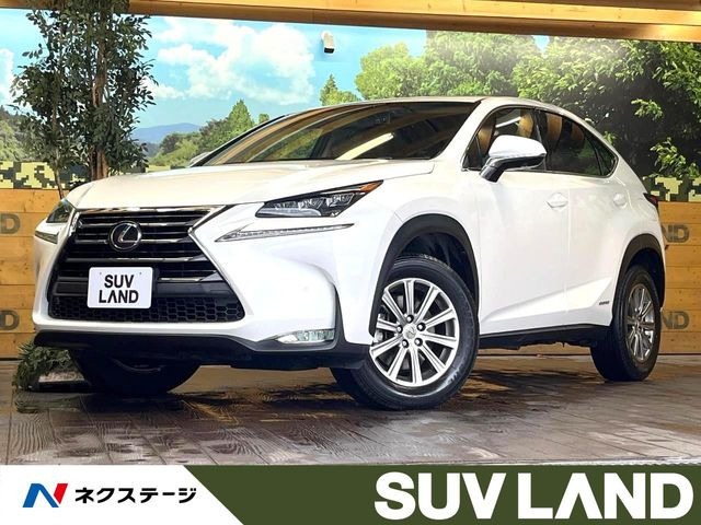 NX 300h Iパッケージ 
