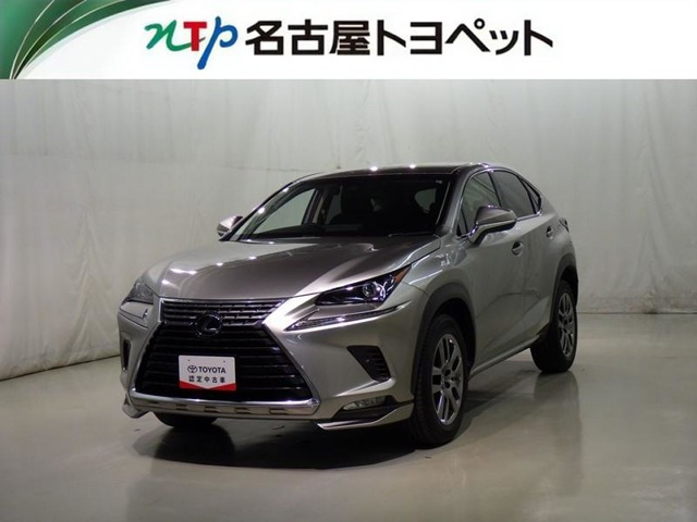 NX 300 