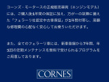 ローマスパイダー F1 DCT 