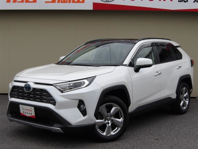 RAV4 2.5 ハイブリッド G E-Four 4WD 