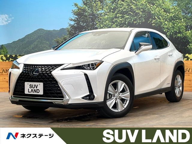 UX 250h バージョンC 