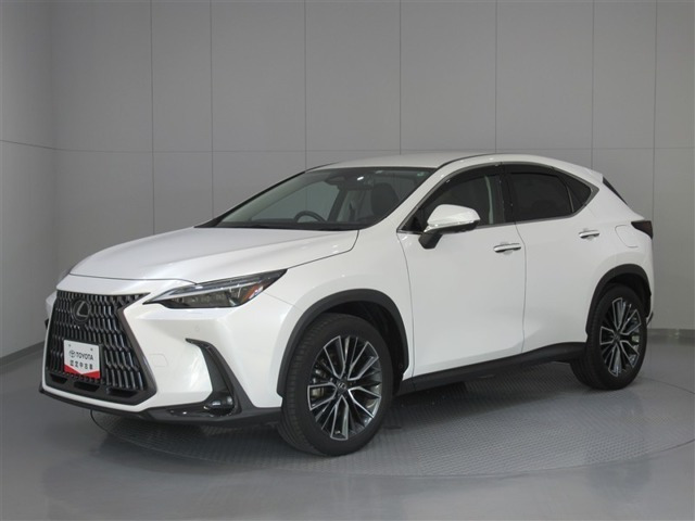 NX 250 バージョンL NX 250 バージョンL