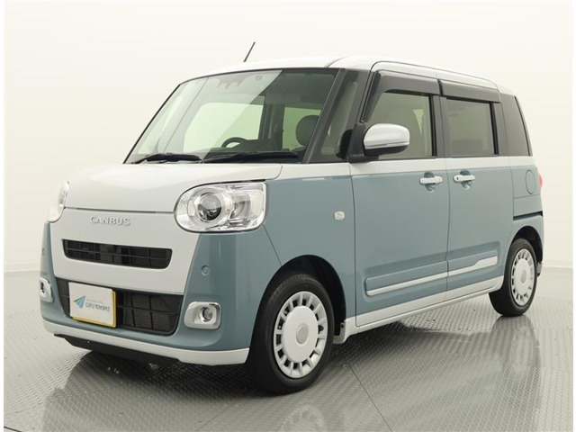 ムーヴキャンバス  ストライプス G