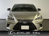NX 300h スパイス&シック