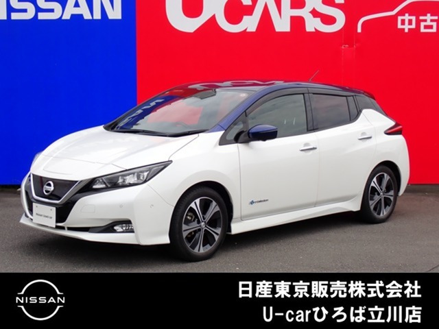 リーフ G 