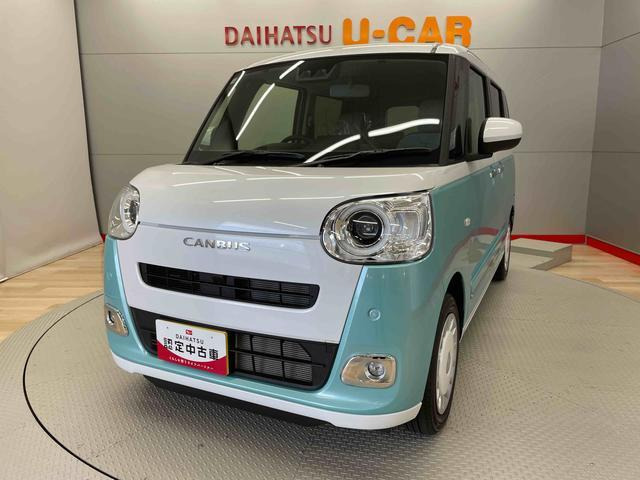 ムーヴキャンバス  ストライプス G