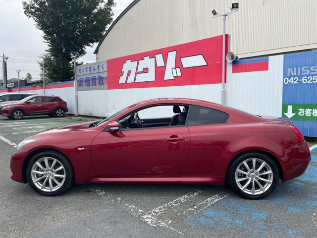 アガベ　レッドスカイライン アガベ オブスクーラ ”レッド・スカイライン” | ネットショップ