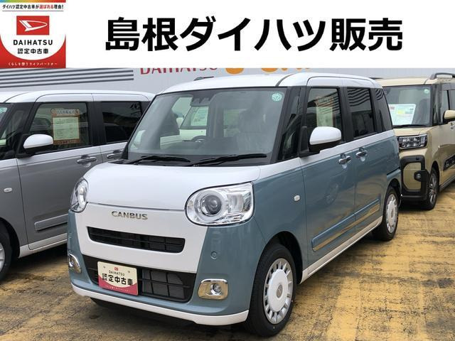 ムーヴキャンバス  ストライプス G