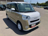 ムーヴキャンバス  ストライプス G