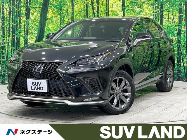 NX 300h Fスポーツ 