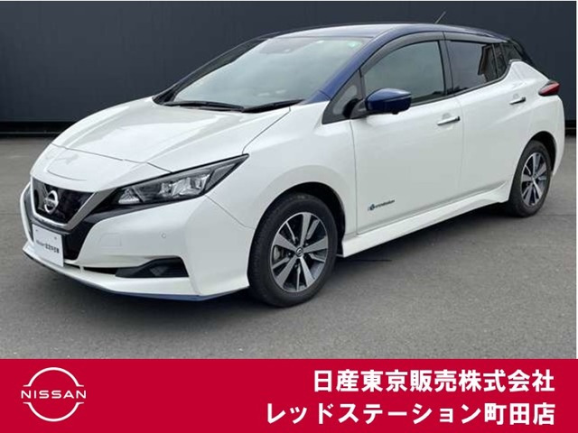 リーフ e+ X 