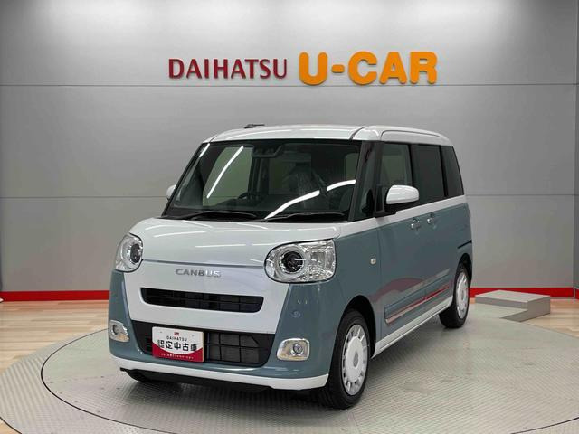 ムーヴキャンバス  ストライプス G