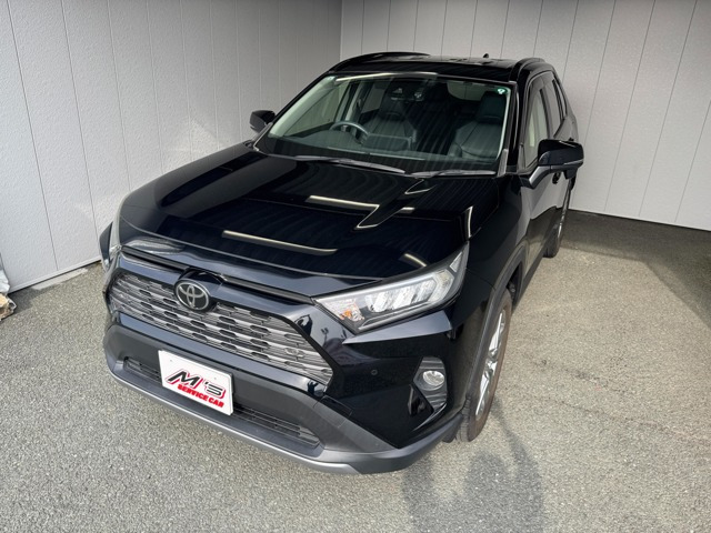 RAV4 2.0 G Zパッケージ 4WD 前方ドラレコ SDナビ バックカメラ ETC