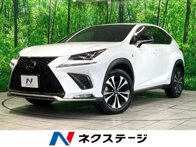 NX 300h Fスポーツ 