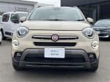 500X  クロス