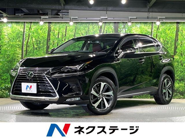 NX 200t Iパッケージ 