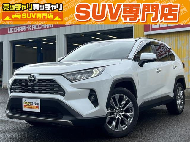 RAV4  2.0 G Zパッケージ 4WD