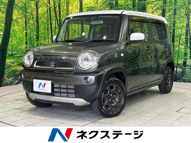 ハスラー Fリミテッド セットオプション装着車